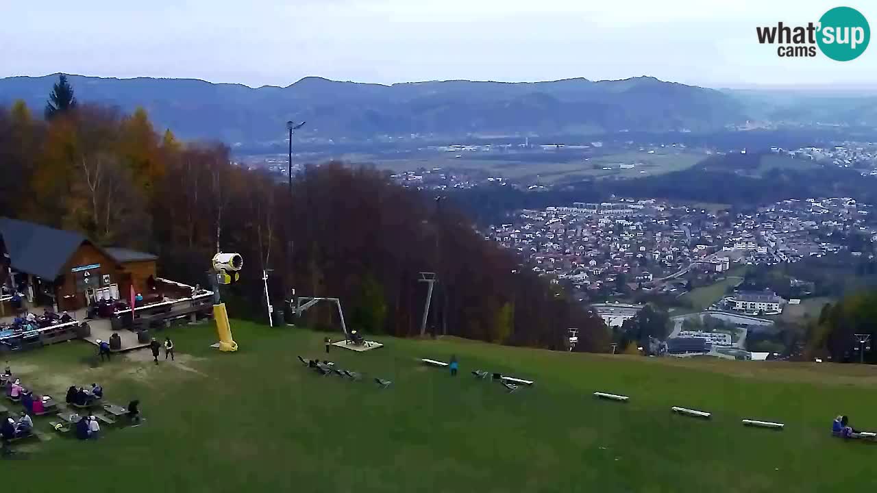Webcam Pohorje Trikotna Jasa | Poštela