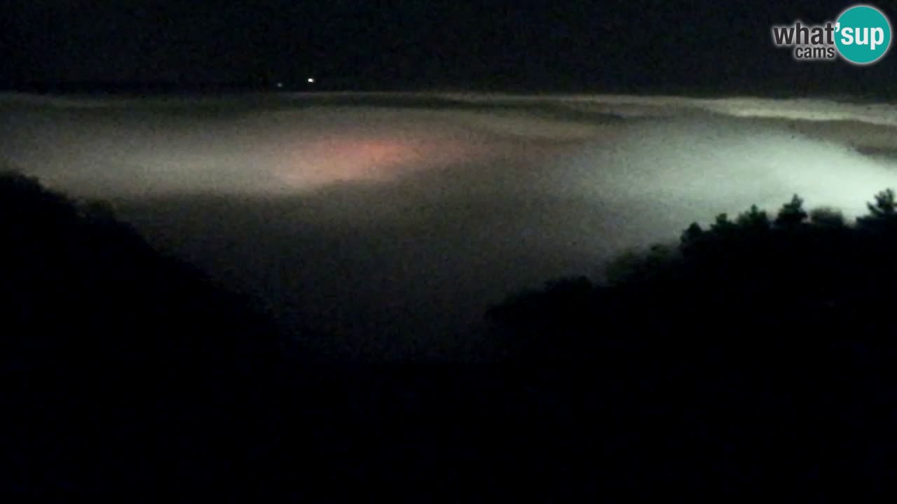 Webcam Pohorje Trikotna Jasa | Poštela