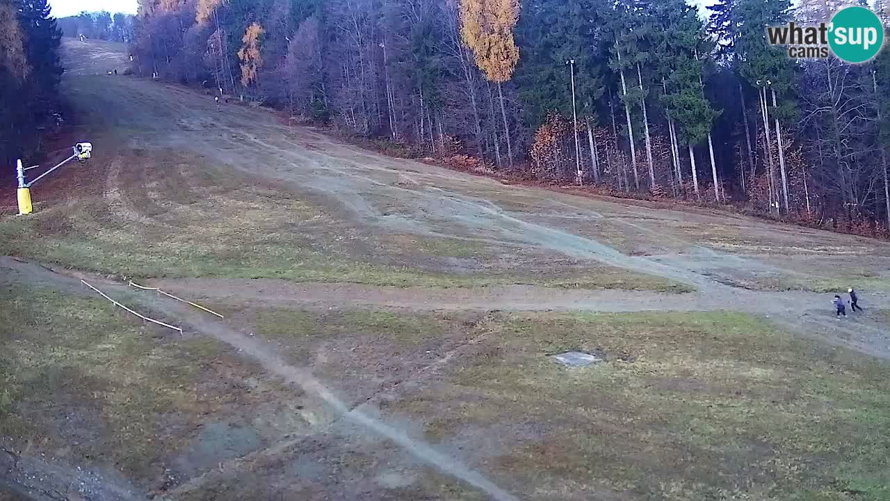 Spletna Kamera Pohorje Trikotna Jasa | Poštela