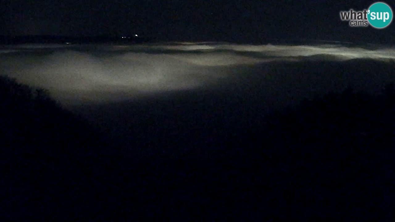 Webcam Pohorje Trikotna Jasa | Poštela