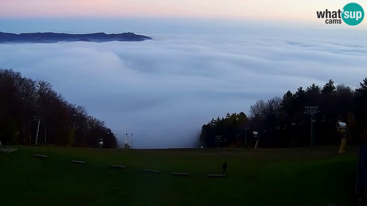 Webcam Pohorje Trikotna Jasa | Poštela