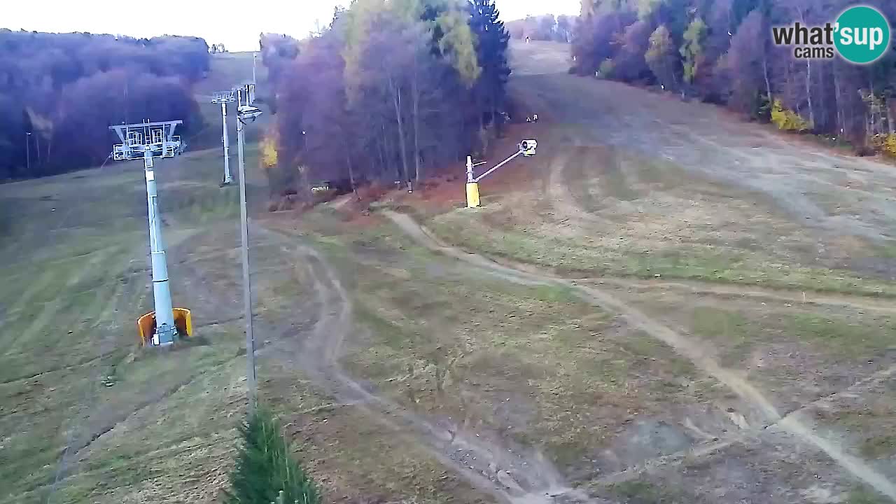 Web Camera Pohorje Trikotna Jasa | Poštela