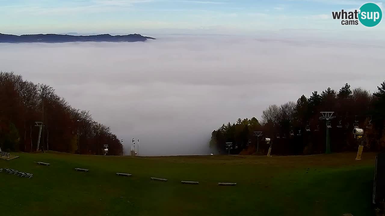 Webcam Pohorje Trikotna Jasa | Poštela