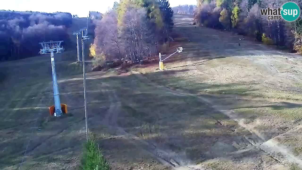 Webcam Pohorje Trikotna Jasa | Poštela