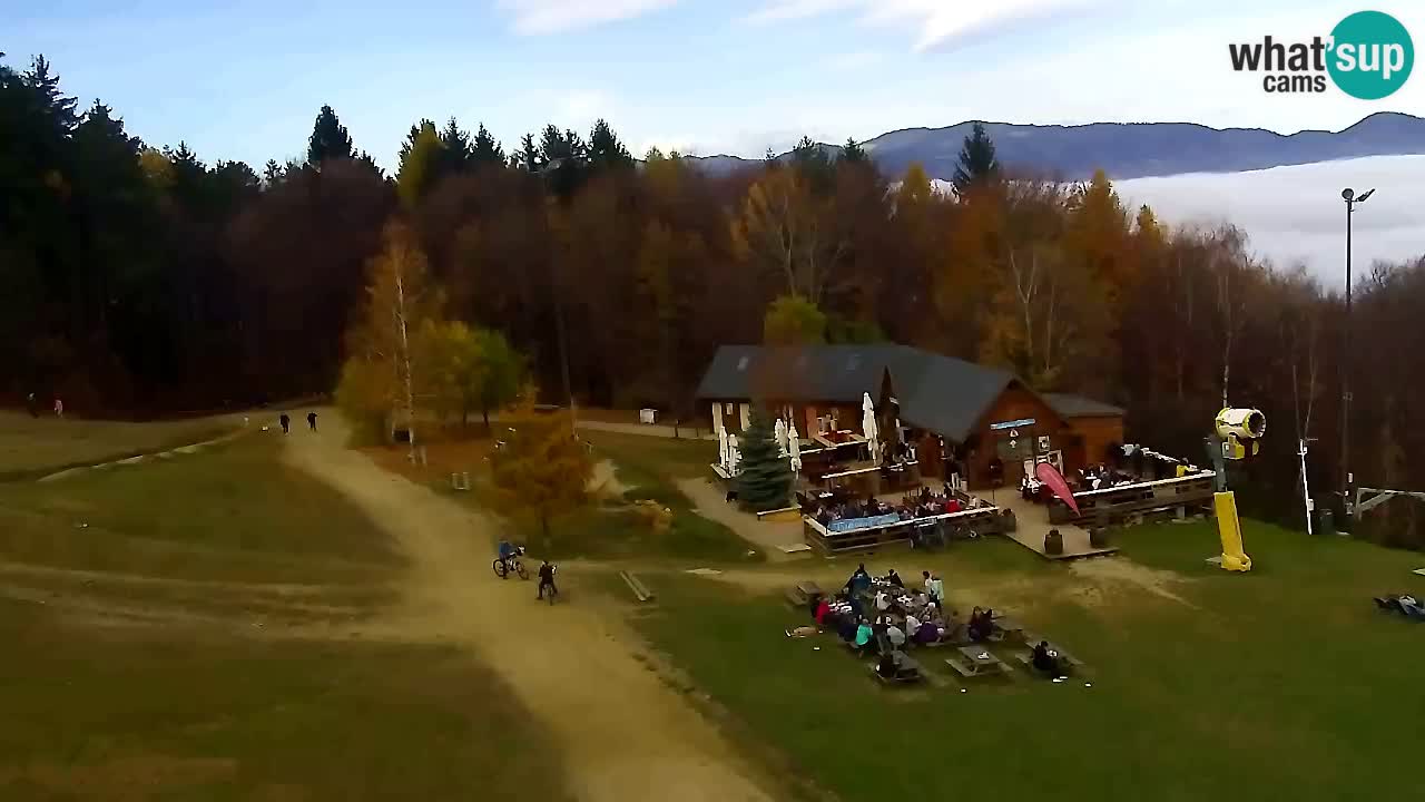 Webcam Pohorje Trikotna Jasa | Poštela