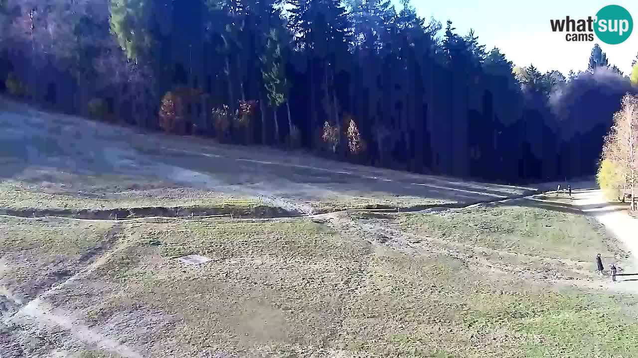 Webcam Pohorje Trikotna Jasa | Poštela