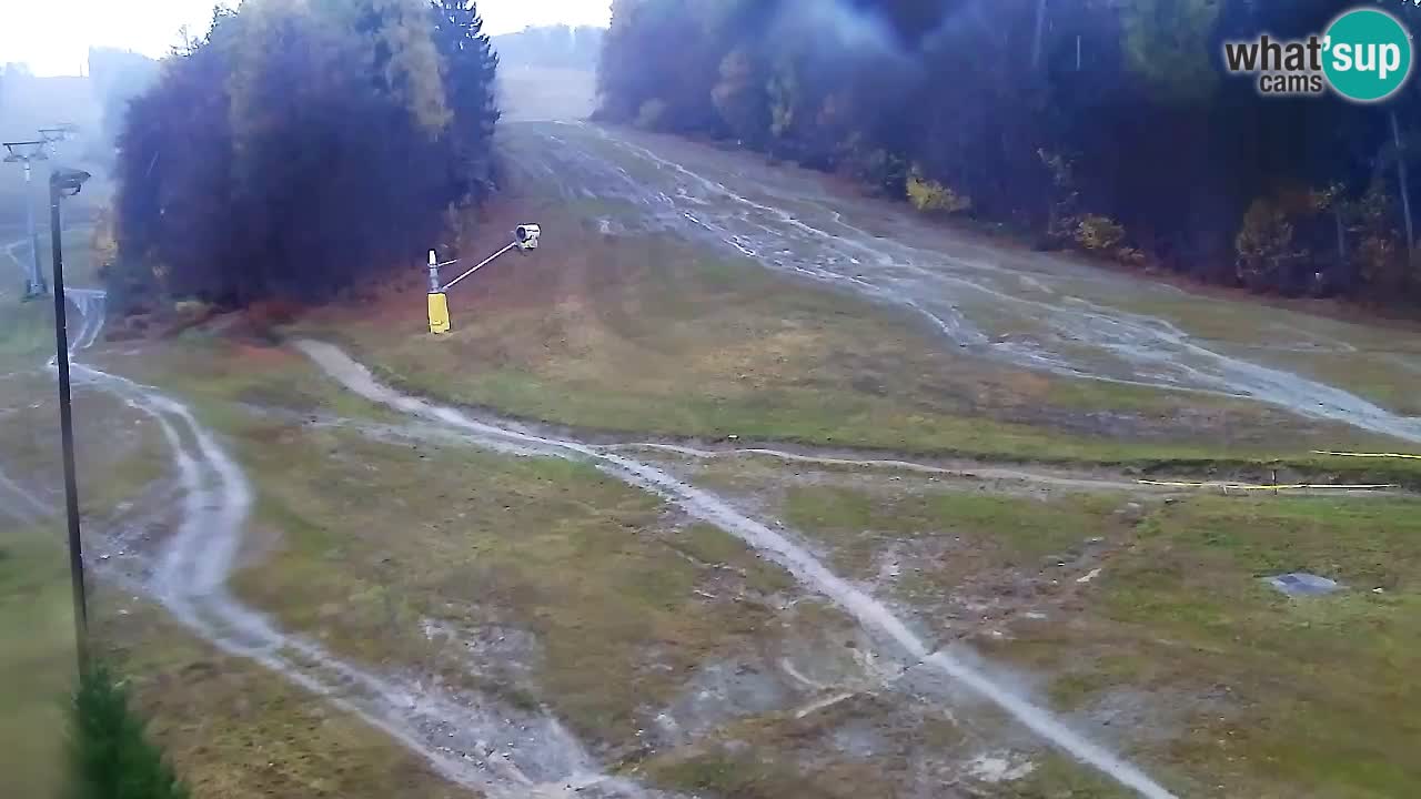 Webcam Pohorje Trikotna Jasa | Poštela