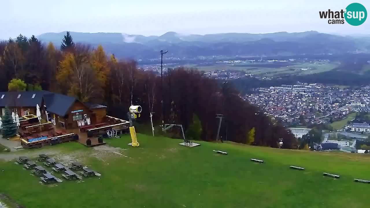 Webcam Pohorje Trikotna Jasa | Poštela