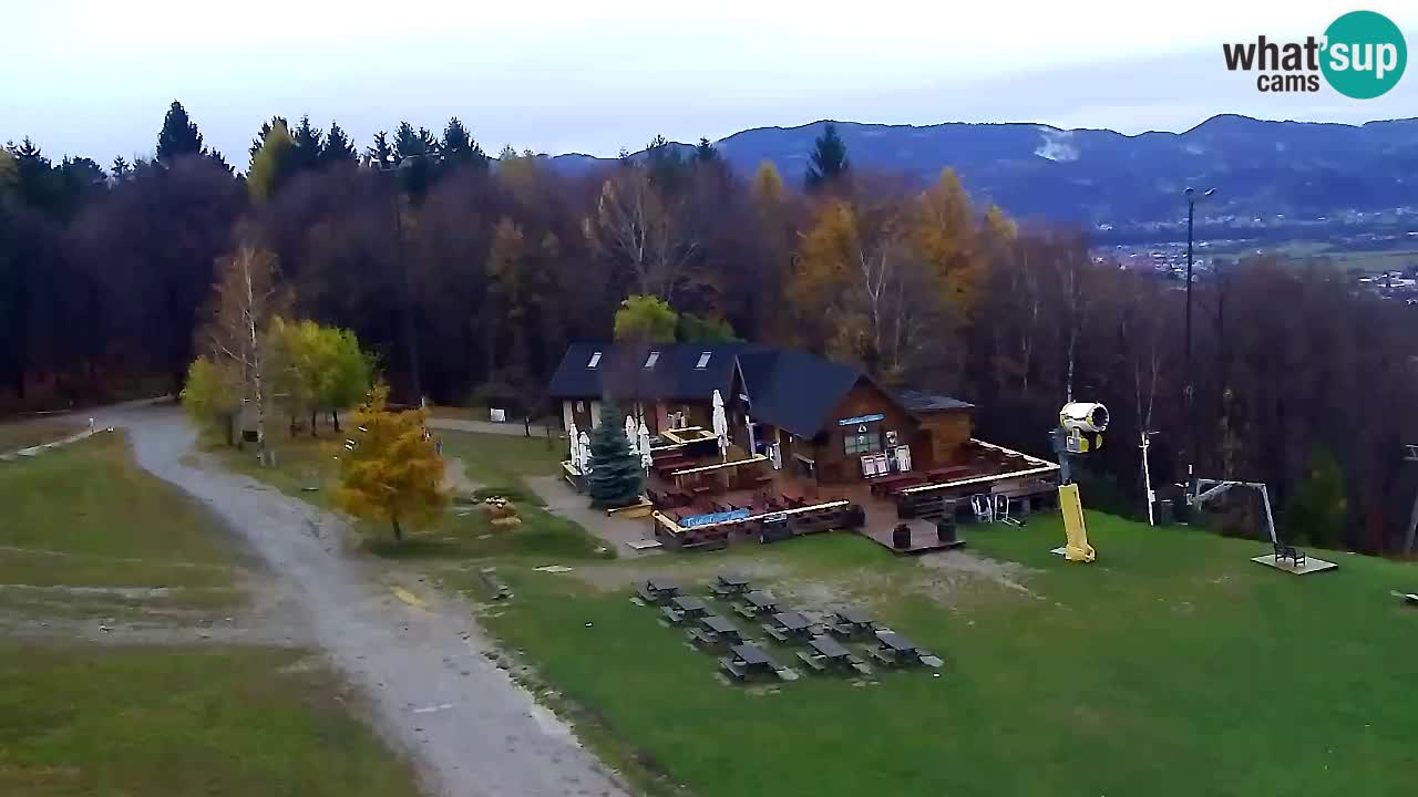 Web Camera Pohorje Trikotna Jasa | Poštela