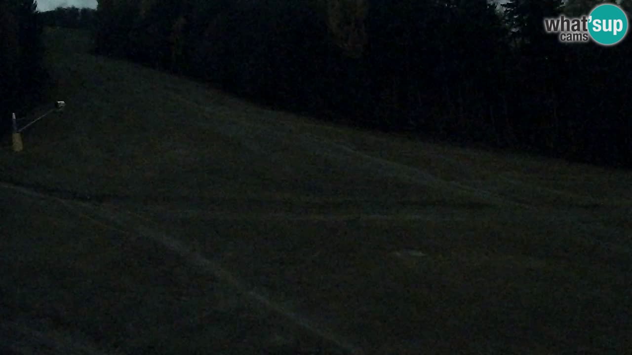 Webcam Pohorje Trikotna Jasa | Poštela