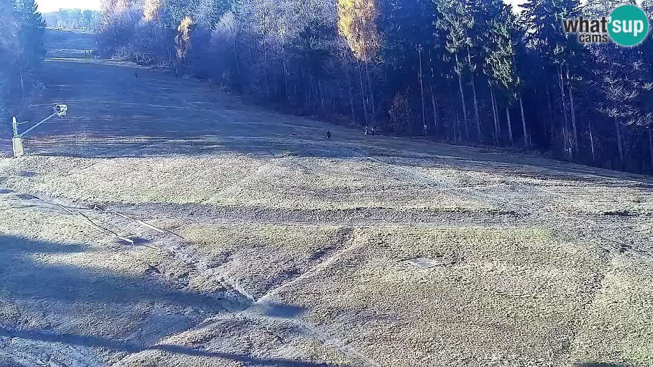 Webcam Pohorje Trikotna Jasa | Poštela