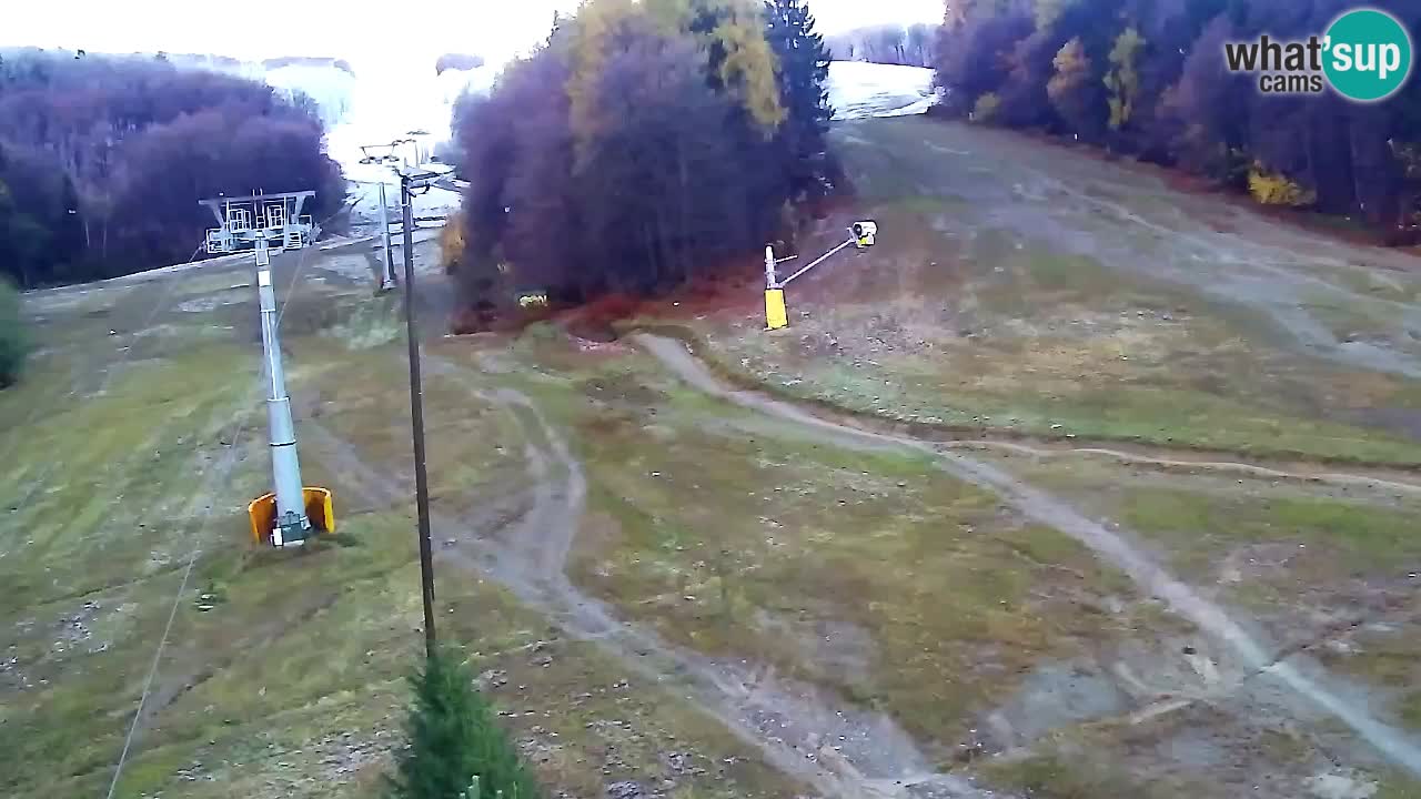 Webcam Pohorje Trikotna Jasa | Poštela