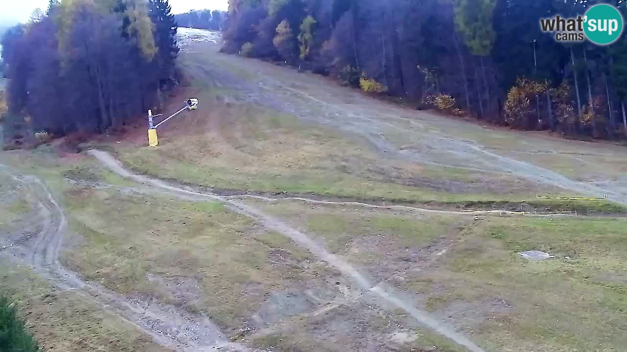 Web Camera Pohorje Trikotna Jasa | Poštela