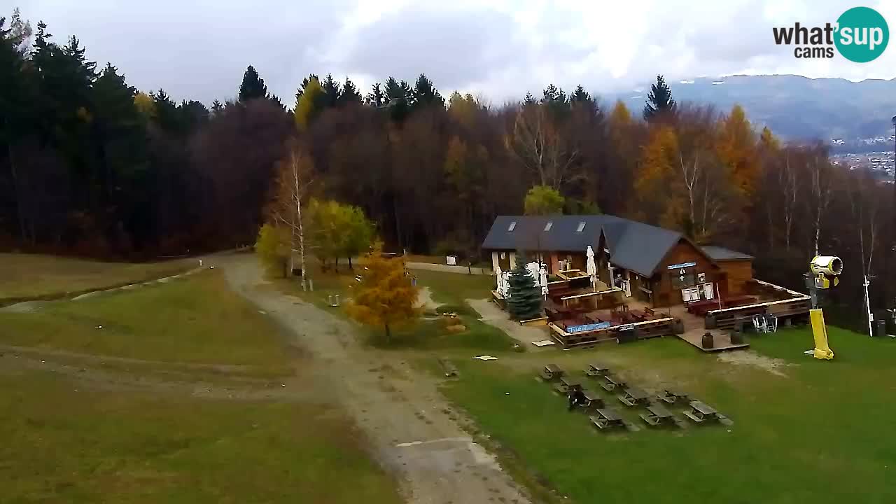 Webcam Pohorje Trikotna Jasa | Poštela