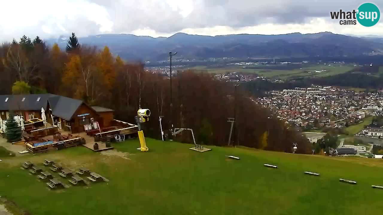 Webcam Pohorje Trikotna Jasa | Poštela