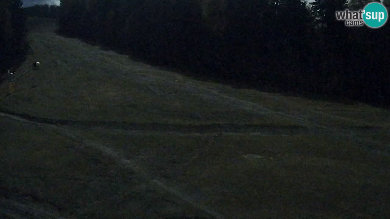 Webcam Pohorje Trikotna Jasa | Poštela