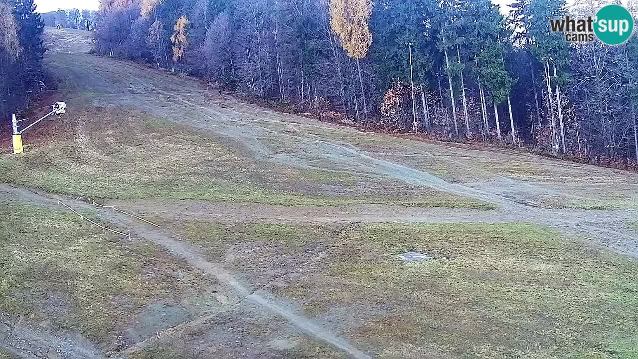 Webcam Pohorje Trikotna Jasa | Poštela