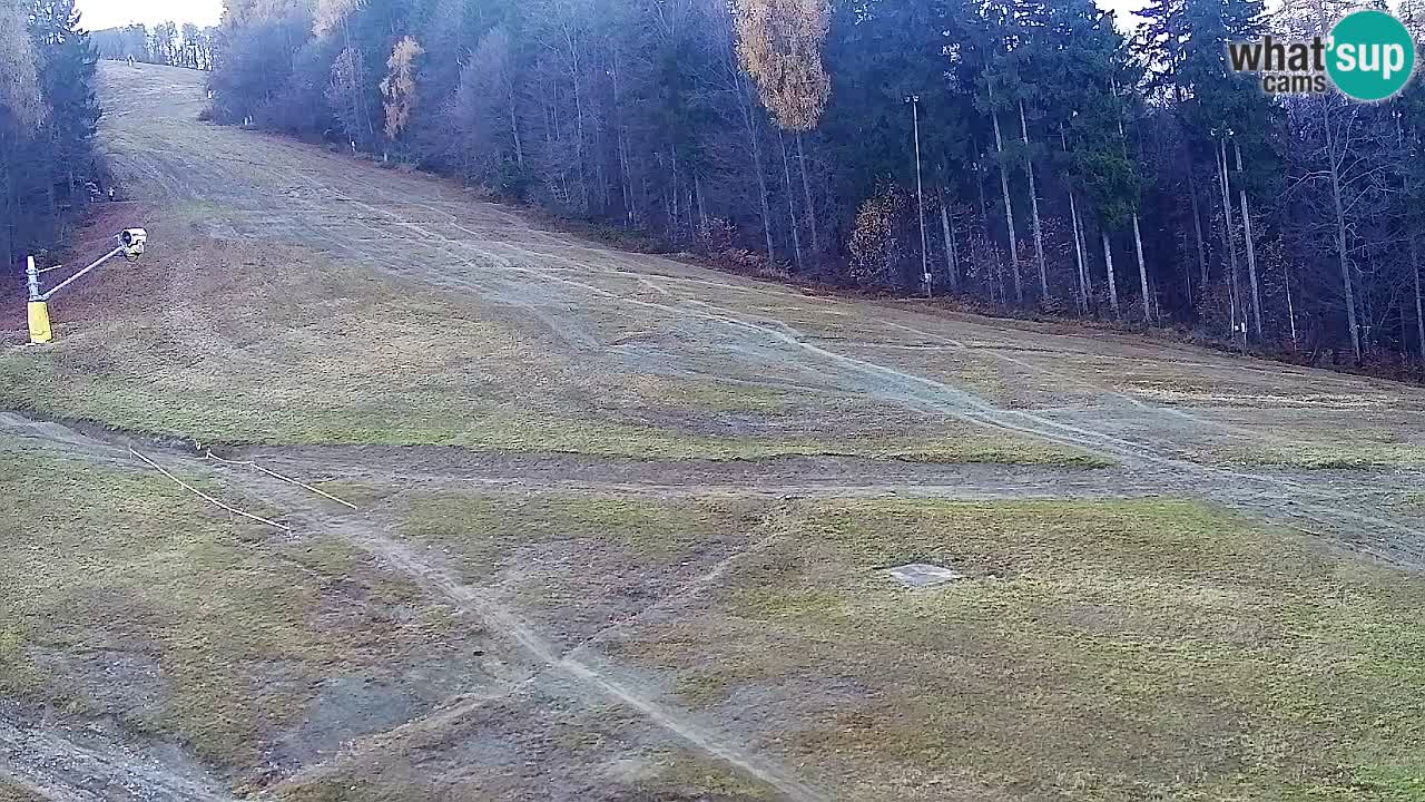 Web Camera Pohorje Trikotna Jasa | Poštela