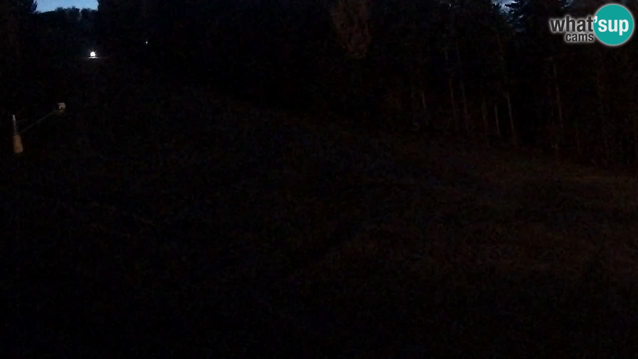 Spletna Kamera Pohorje Trikotna Jasa | Poštela