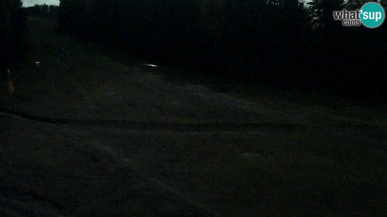 Webcam Pohorje Trikotna Jasa | Poštela