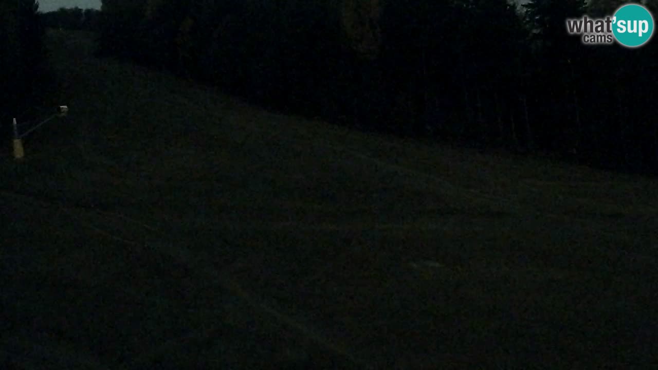 Webcam Pohorje Trikotna Jasa | Poštela