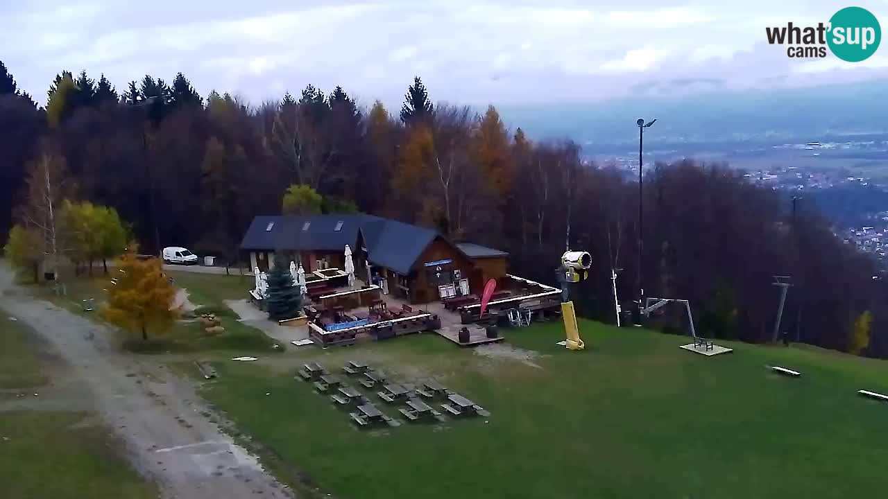 Webcam Pohorje Trikotna Jasa | Poštela