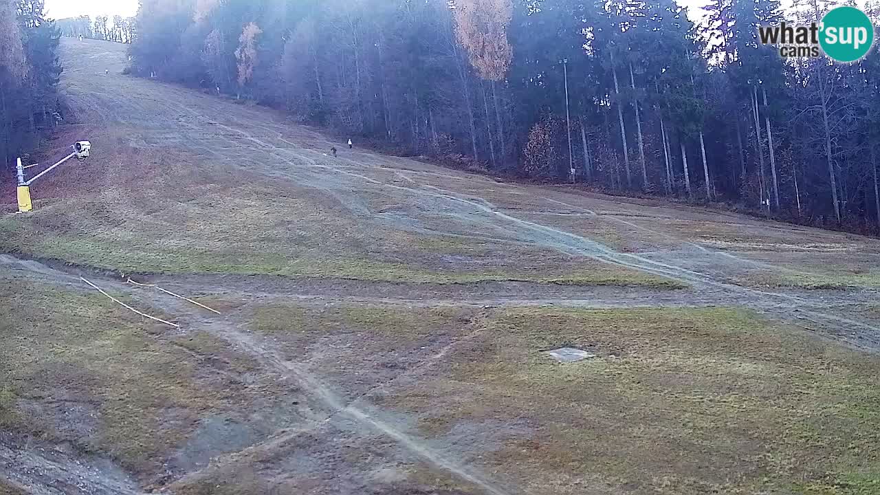 Web kamera Pohorje Trikotna Jasa | Poštela