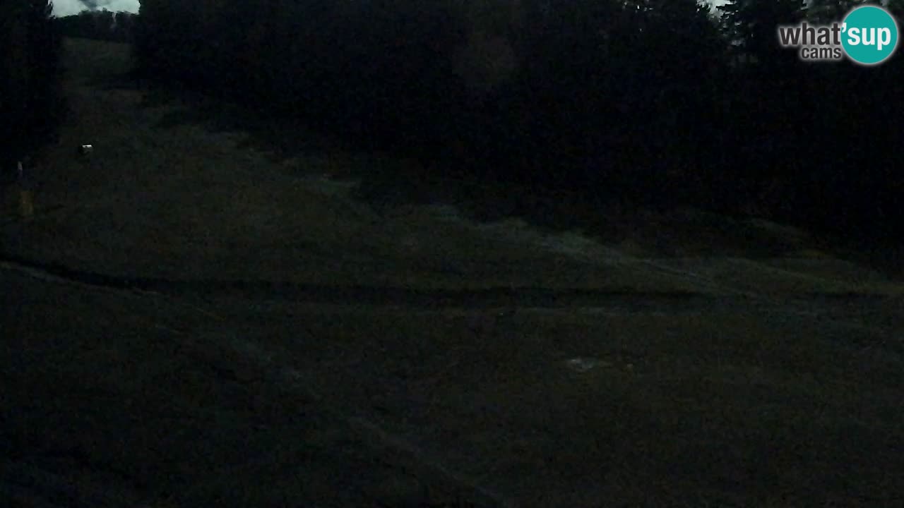 Webcam Pohorje Trikotna Jasa | Poštela