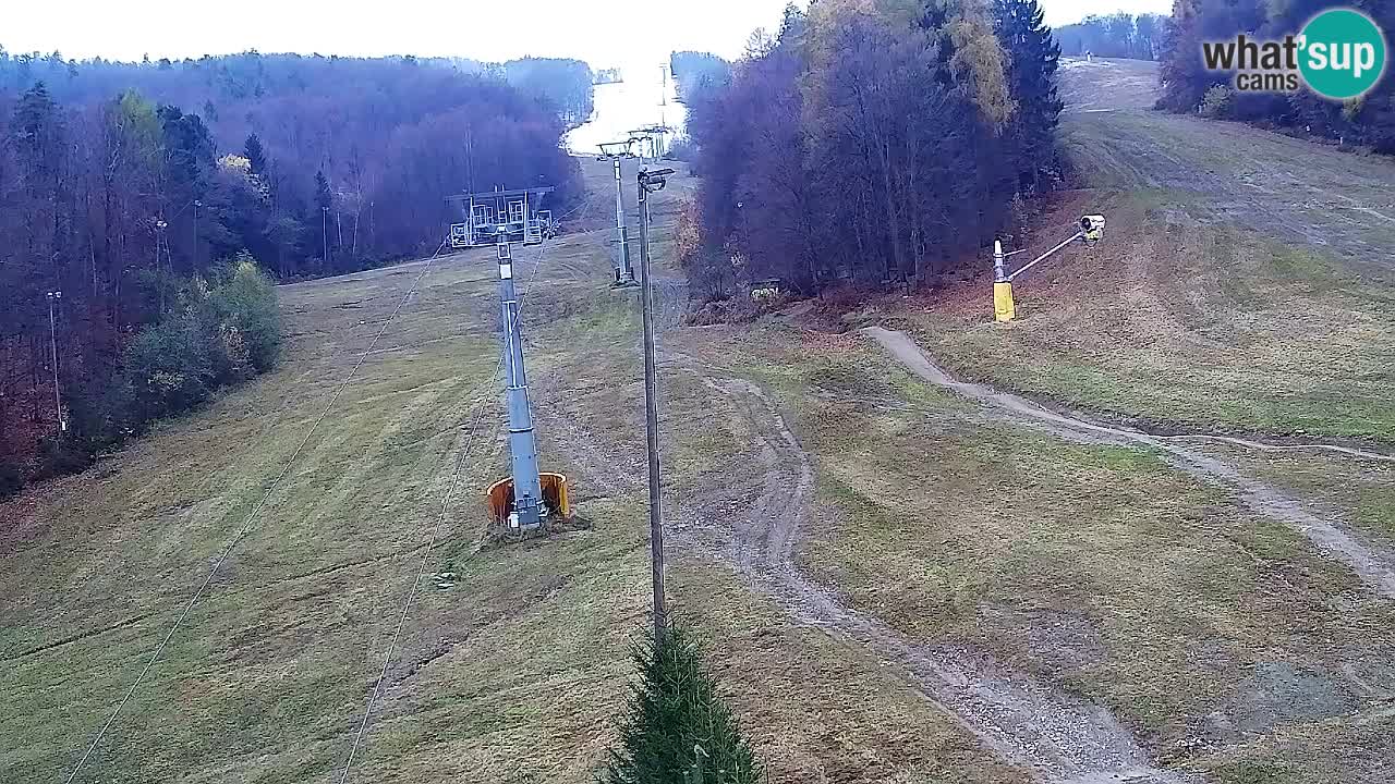 Web kamera Pohorje Trikotna Jasa | Poštela