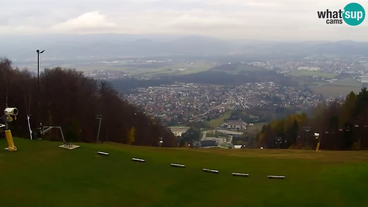 Webcam Pohorje Trikotna Jasa | Poštela