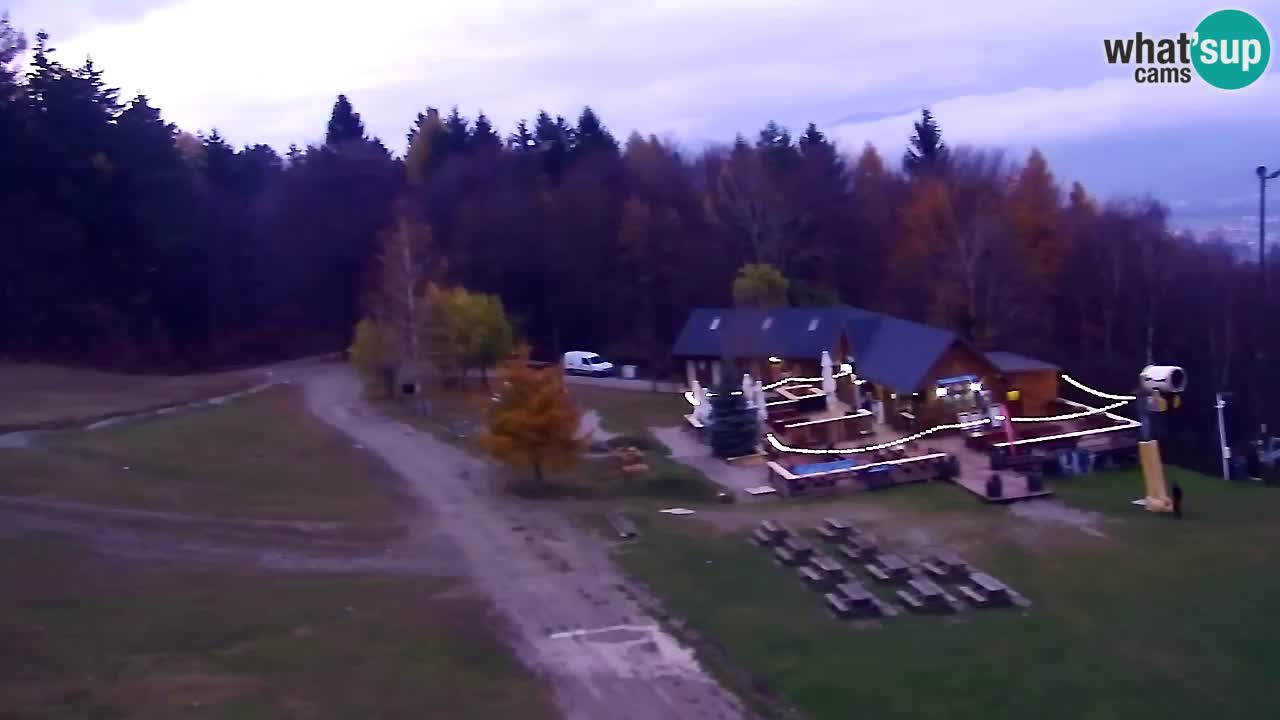 Webcam Pohorje Trikotna Jasa | Poštela