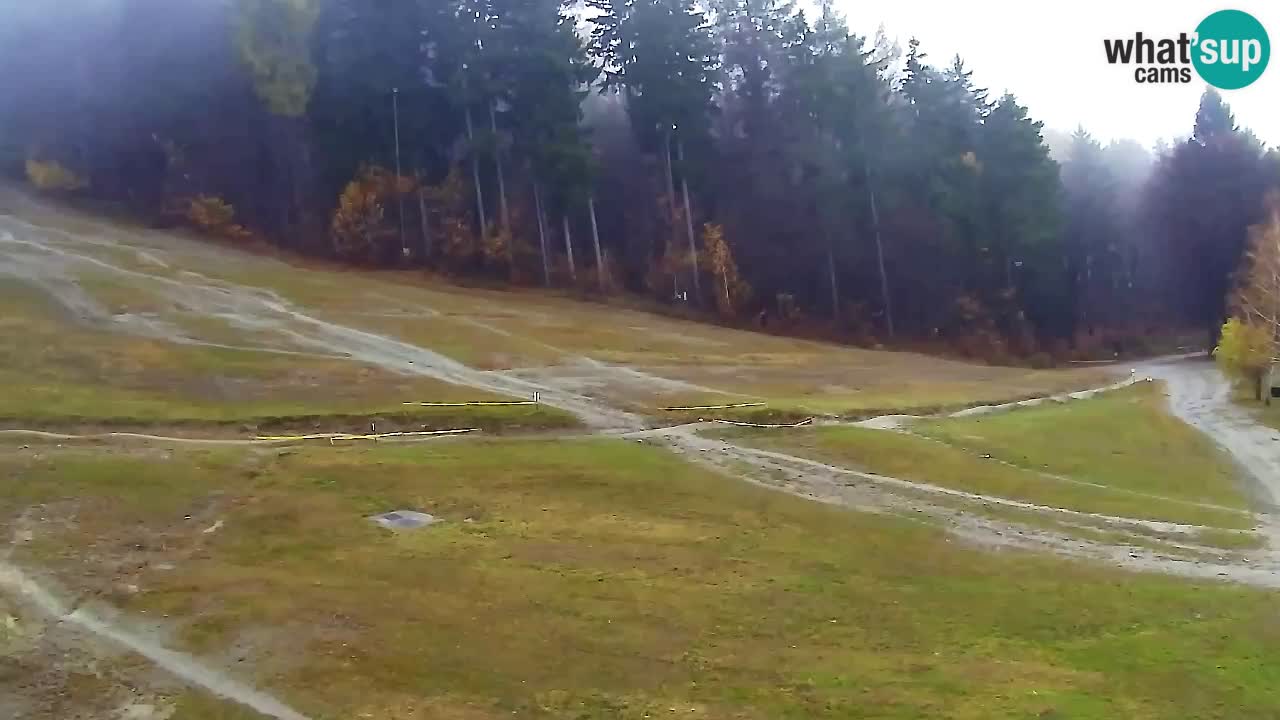 Webcam Pohorje Trikotna Jasa | Poštela