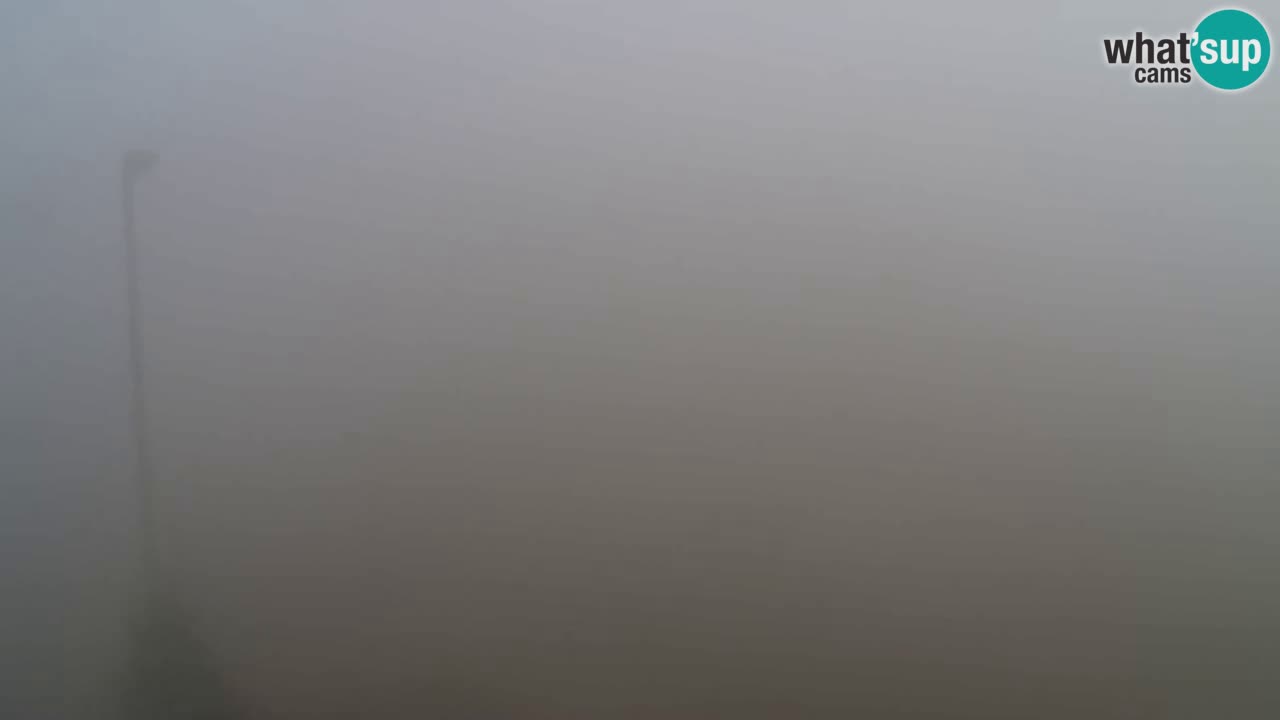 Web Camera Pohorje Trikotna Jasa | Poštela