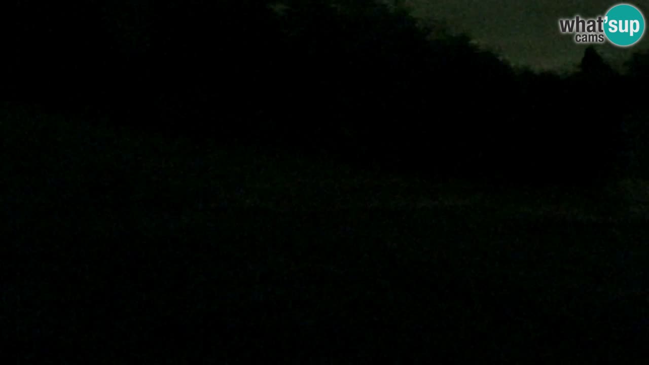 Webcam Pohorje Trikotna Jasa | Poštela