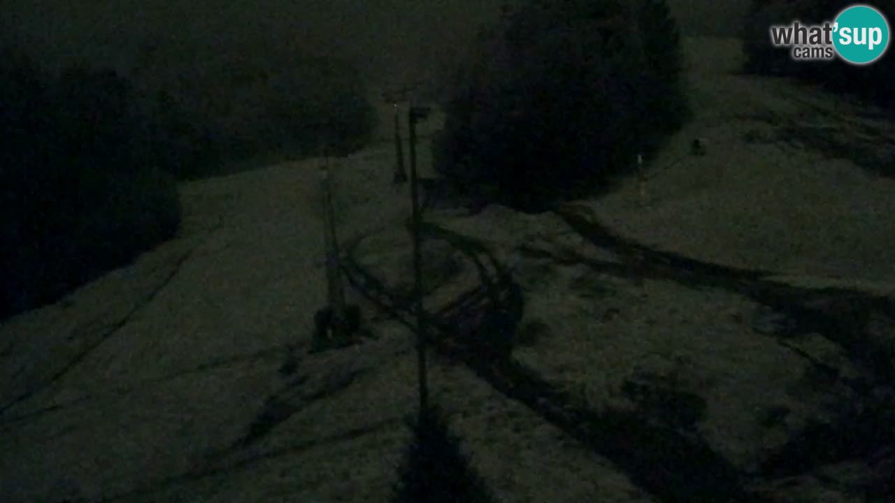 Webcam Pohorje Trikotna Jasa | Poštela