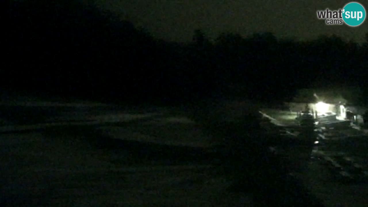 Web kamera Pohorje Trikotna Jasa | Poštela