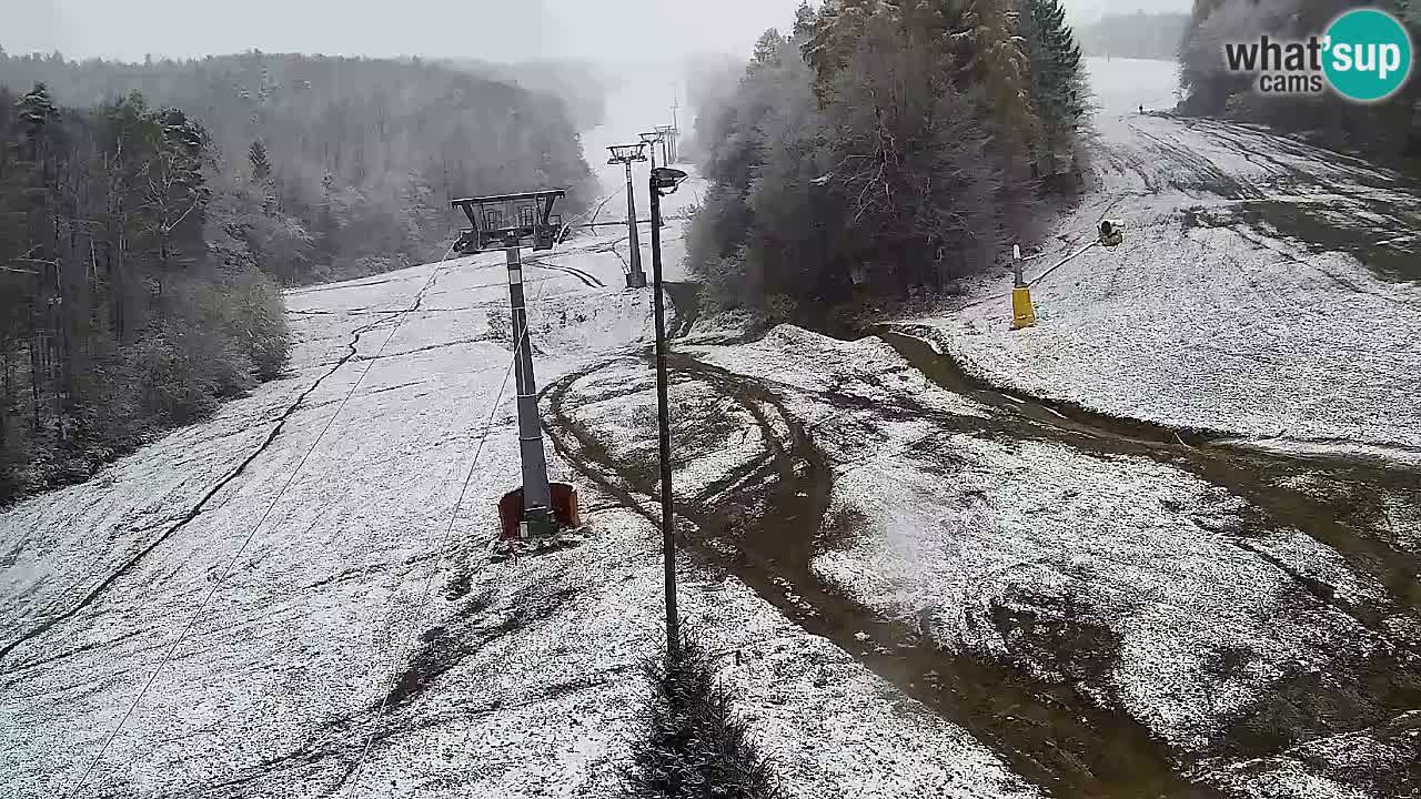 Webcam Pohorje Trikotna Jasa | Poštela
