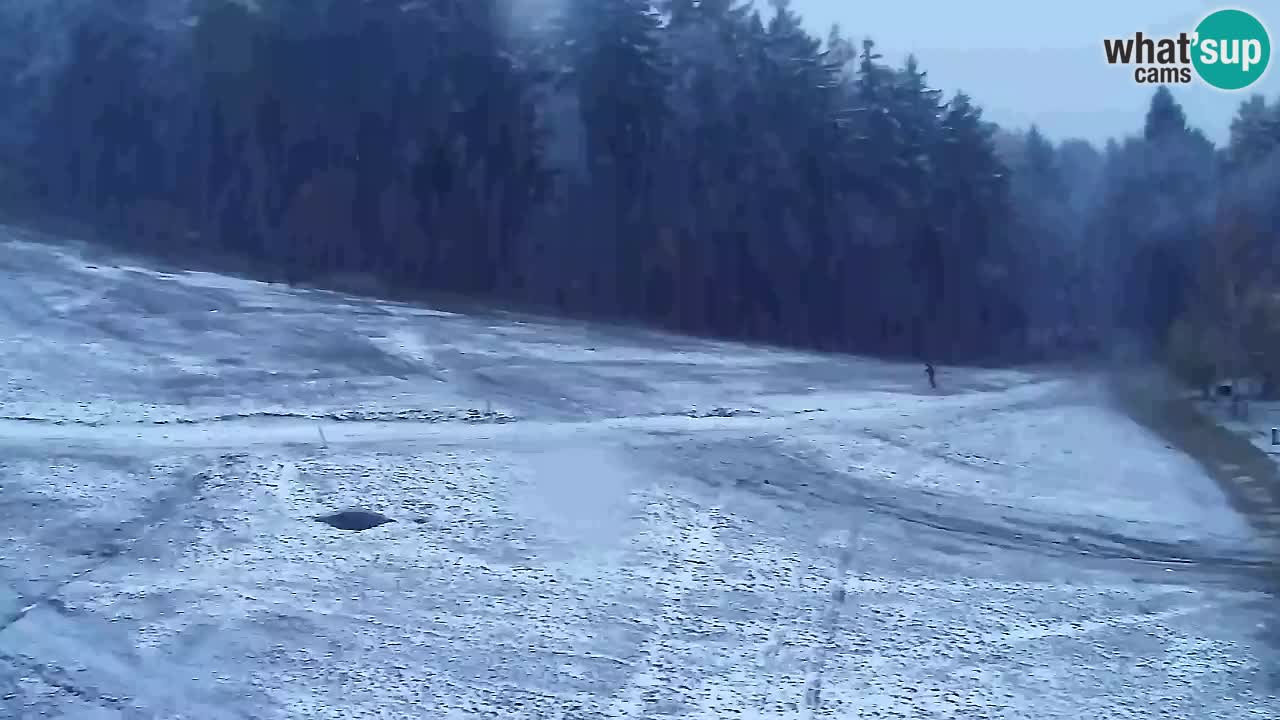 Webcam Pohorje Trikotna Jasa | Poštela