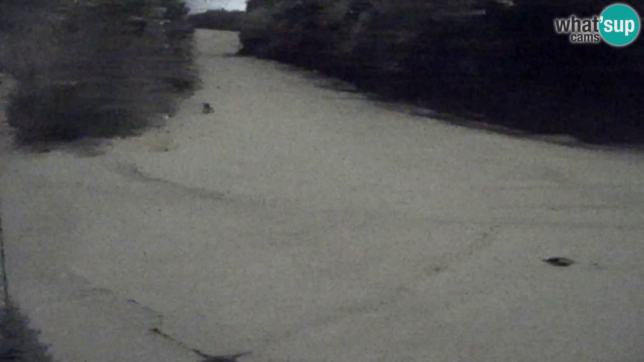 Webcam Pohorje Trikotna Jasa | Poštela