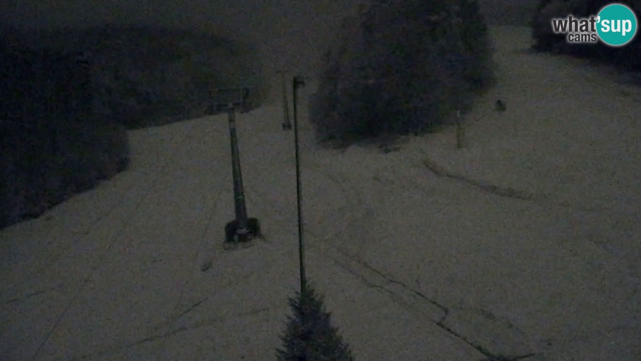Webcam Pohorje Trikotna Jasa | Poštela