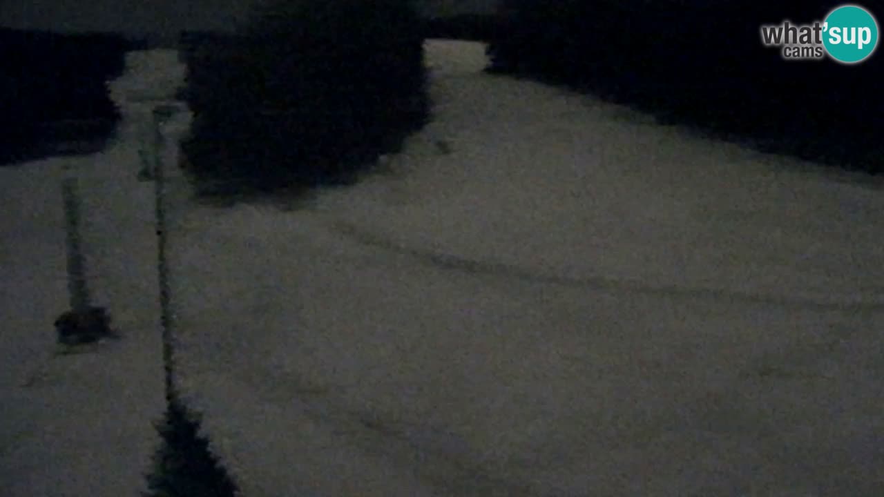 Webcam Pohorje Trikotna Jasa | Poštela