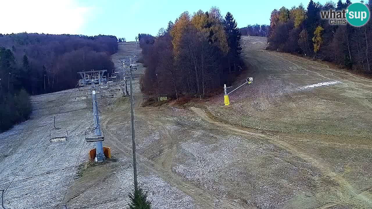Webcam Pohorje Trikotna Jasa | Poštela