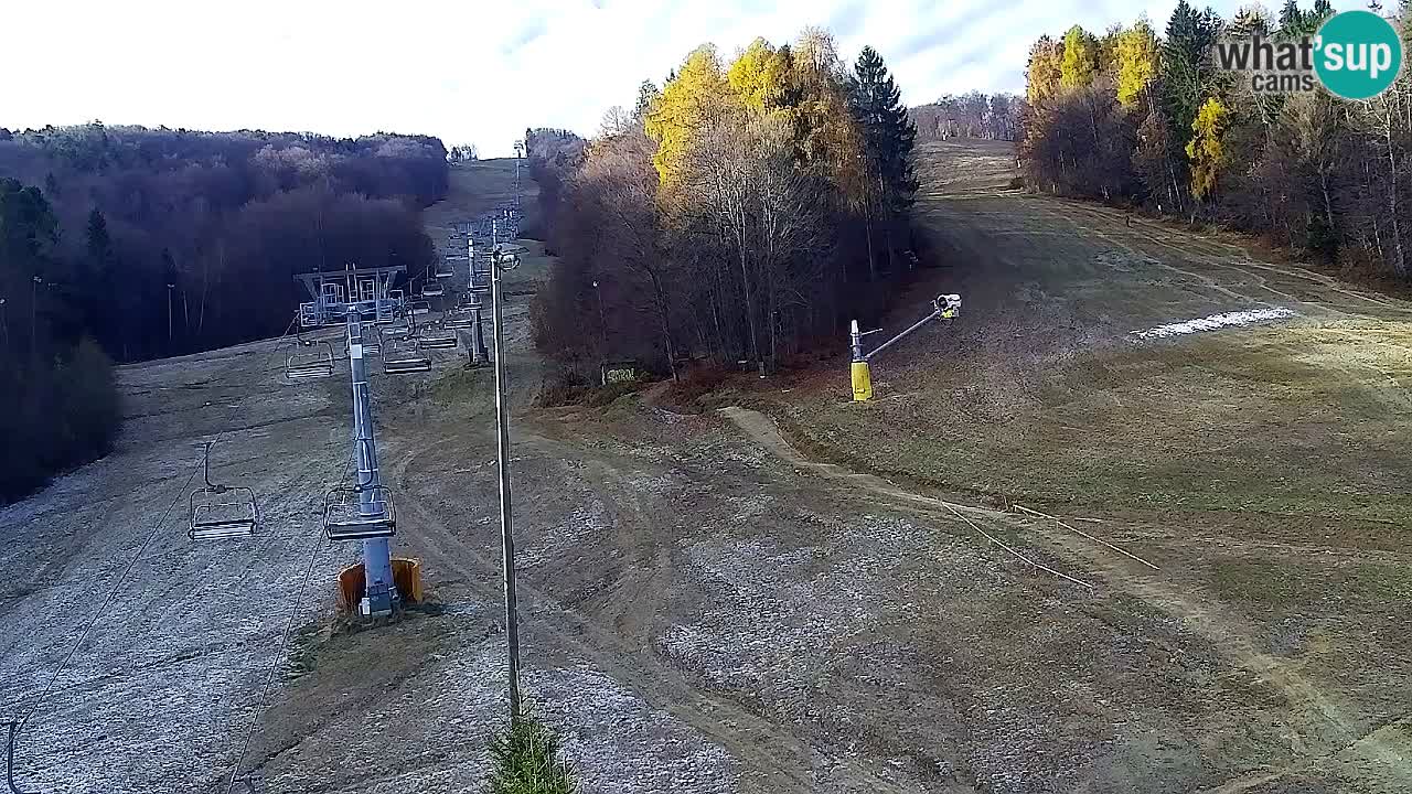 Webcam Pohorje Trikotna Jasa | Poštela