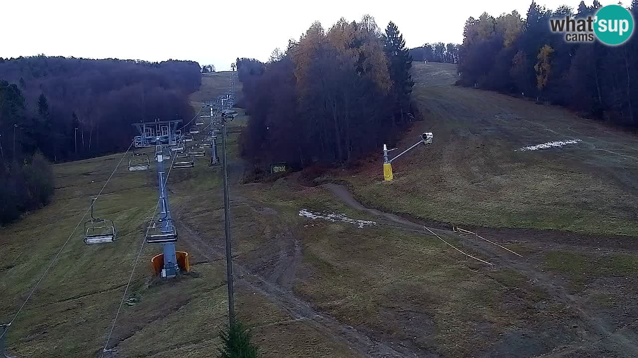 Webcam Pohorje Trikotna Jasa | Poštela