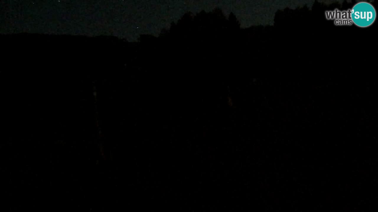 Web Camera Pohorje Trikotna Jasa | Poštela