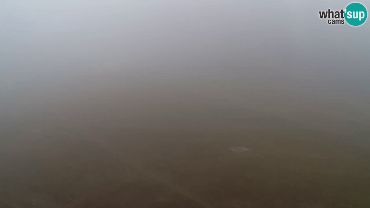 Webcam Pohorje Trikotna Jasa | Poštela