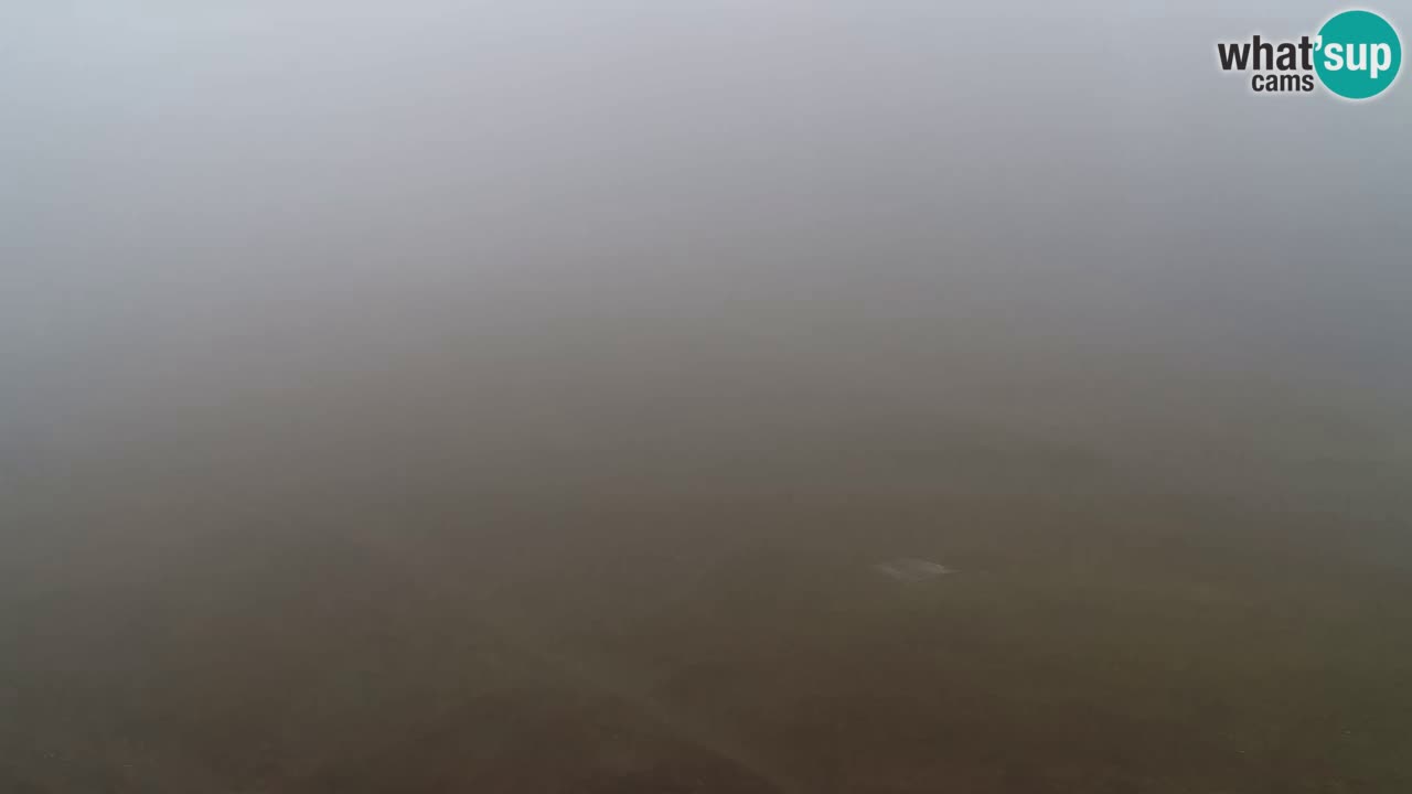 Webcam Pohorje Trikotna Jasa | Poštela