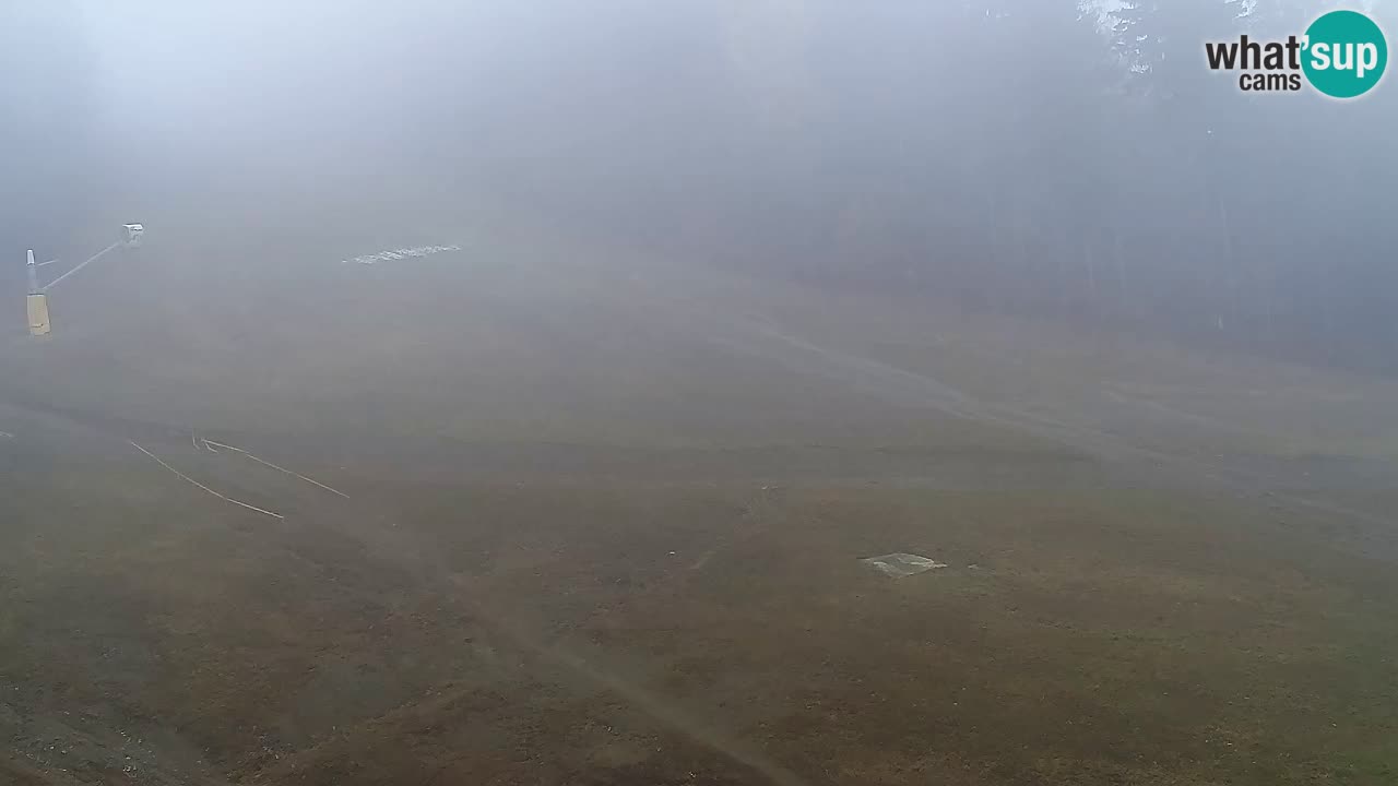 Spletna Kamera Pohorje Trikotna Jasa | Poštela