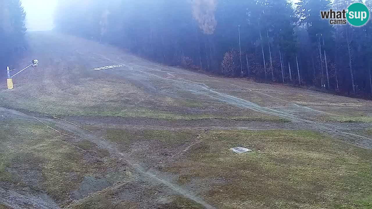 Webcam Pohorje Trikotna Jasa | Poštela