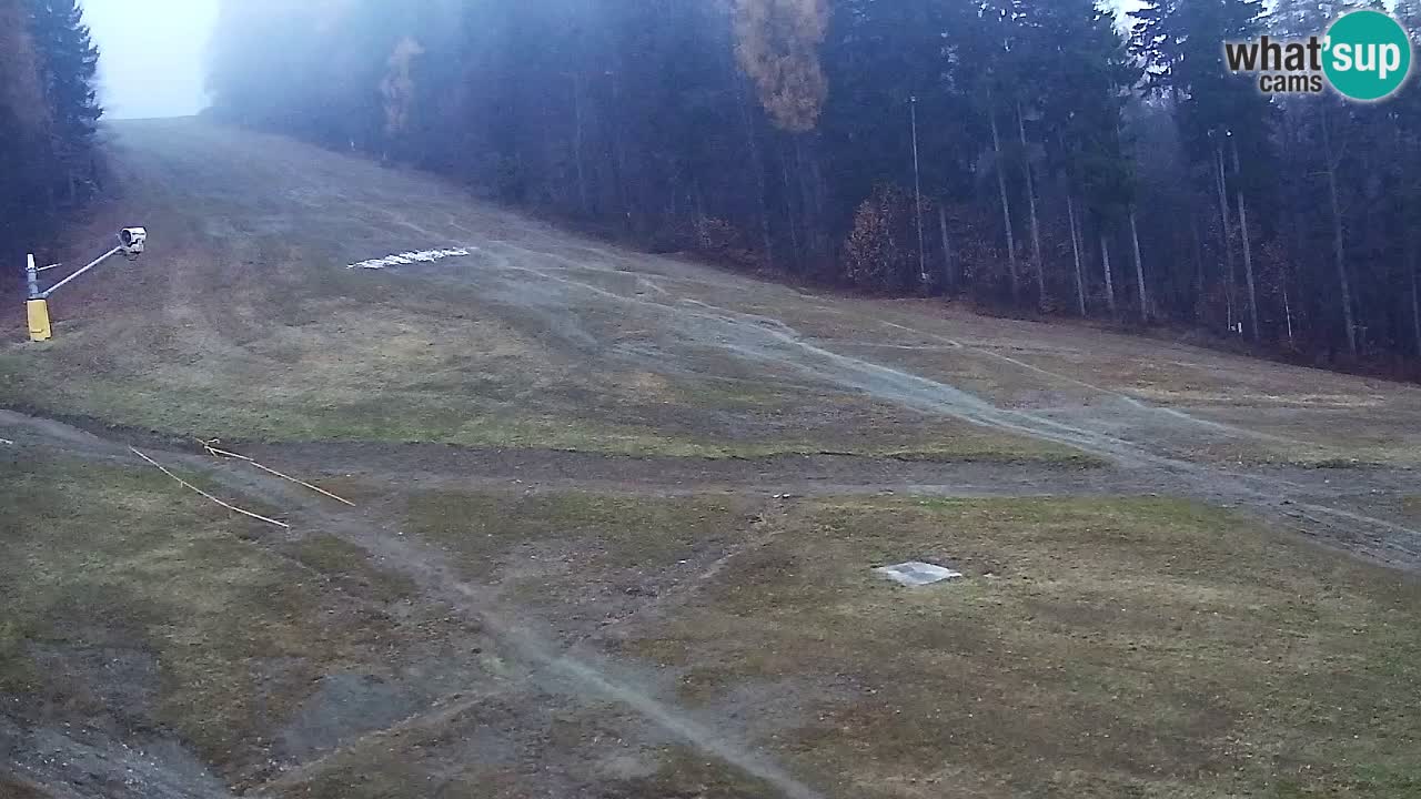 Spletna Kamera Pohorje Trikotna Jasa | Poštela